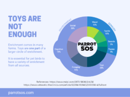 A wheel graphic showing different categories of enrichment.